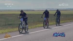 《阴阳师：妖怪屋》欢乐庭院大揭秘