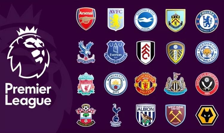 的维尔纳而 的维尔纳而